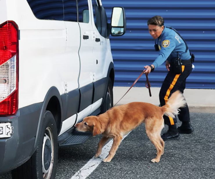 The Unseen Guardians: How Police K-9 Explosives Detection Skills Are Revolutionizing Public Safety